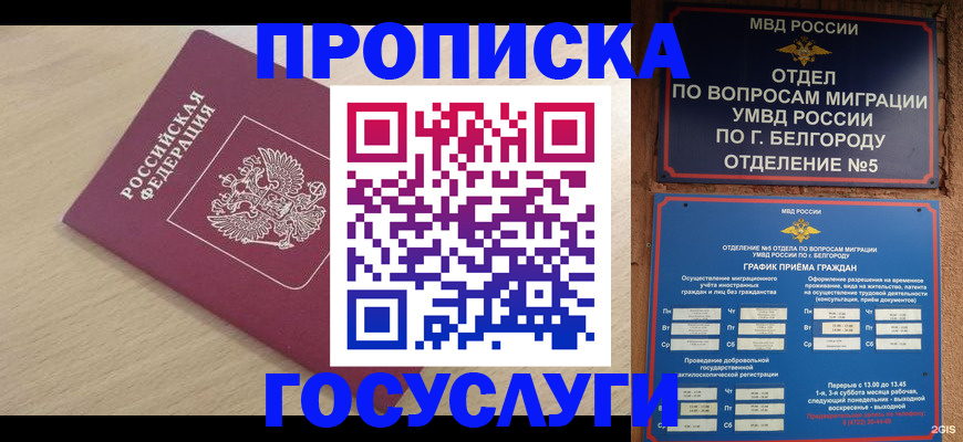 прописка законно в Поворино